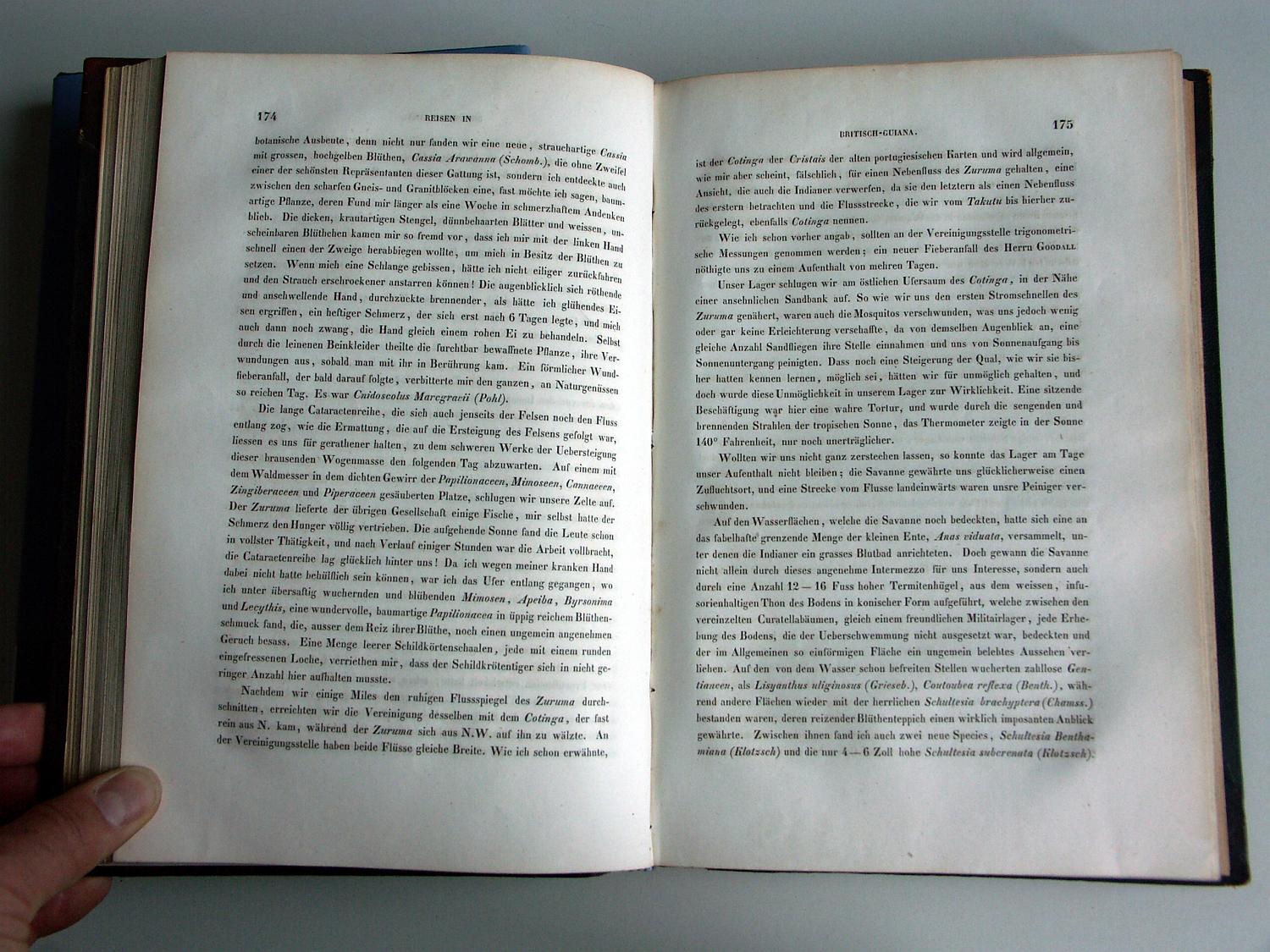 ZZ-RISC48,S.174 Rio Zuruma und Cotinga